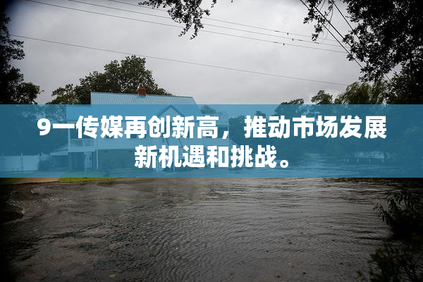 9一传媒再创新高，推动市场发展新机遇和挑战。