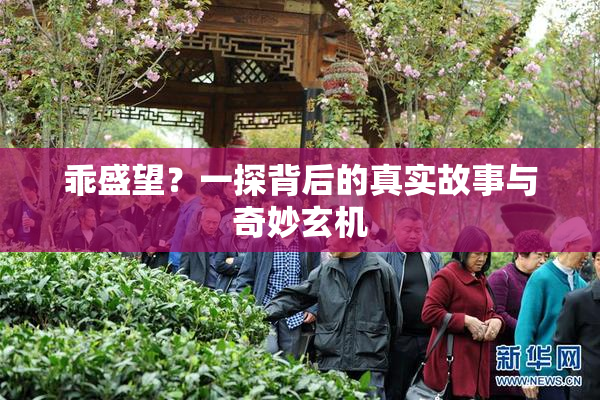 乖盛望？一探背后的真实故事与奇妙玄机