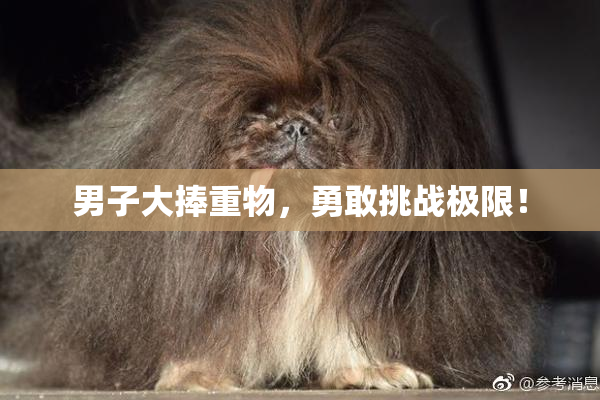 男子大捧重物，勇敢挑战极限！