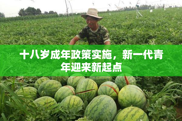 十八岁成年政策实施，新一代青年迎来新起点