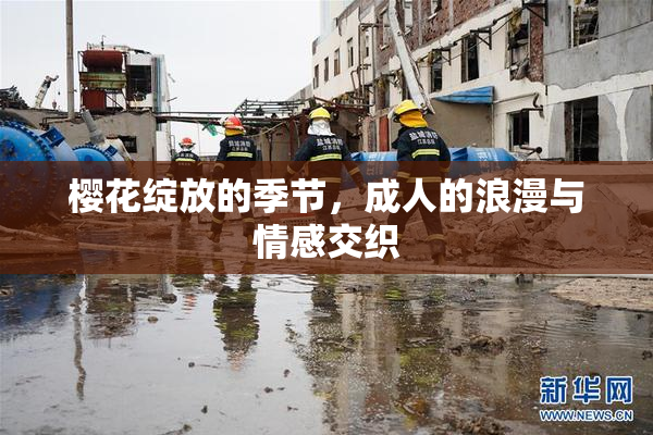 樱花绽放的季节，成人的浪漫与情感交织
