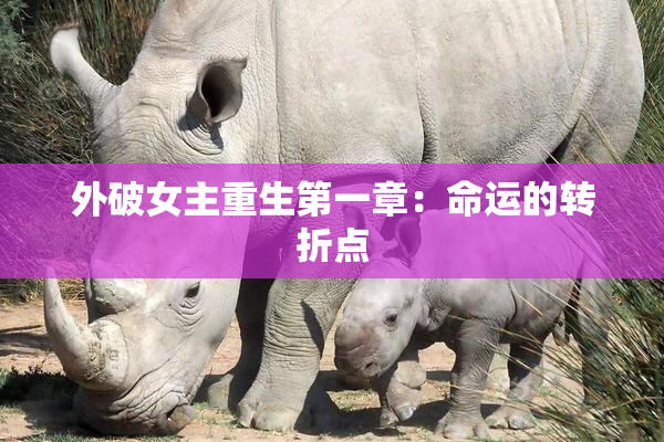 外破女主重生第一章：命运的转折点