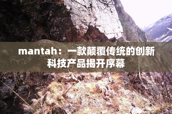 mantah：一款颠覆传统的创新科技产品揭开序幕