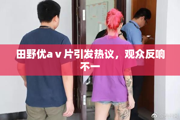 田野优aⅴ片引发热议，观众反响不一