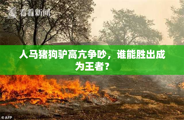 人马猪狗驴高亢争吵，谁能胜出成为王者？