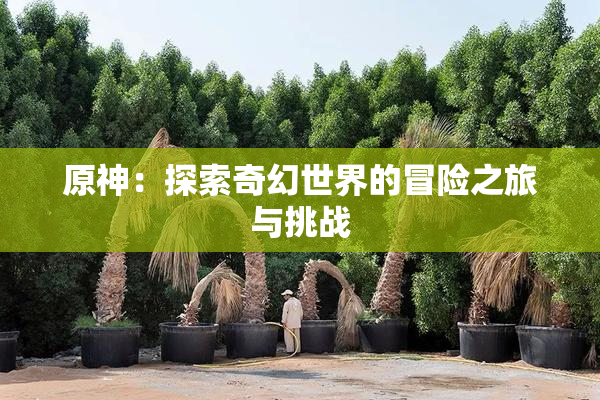 原神：探索奇幻世界的冒险之旅与挑战