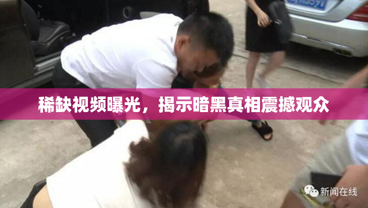 稀缺视频曝光，揭示暗黑真相震撼观众