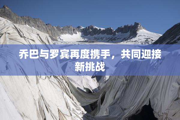 乔巴与罗宾再度携手，共同迎接新挑战
