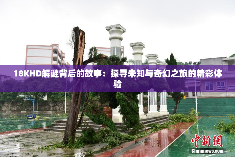 18KHD解谜背后的故事：探寻未知与奇幻之旅的精彩体验