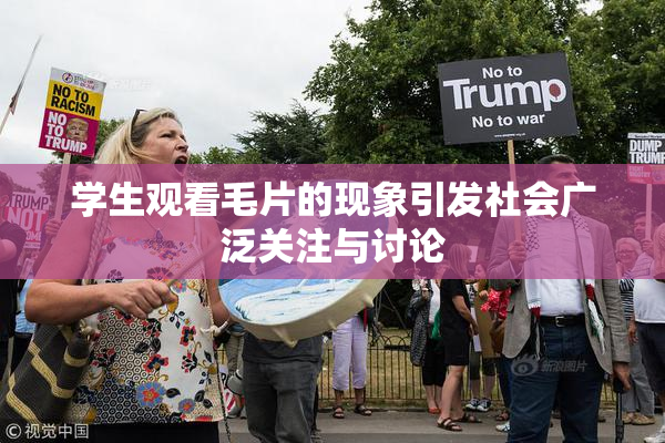 学生观看毛片的现象引发社会广泛关注与讨论