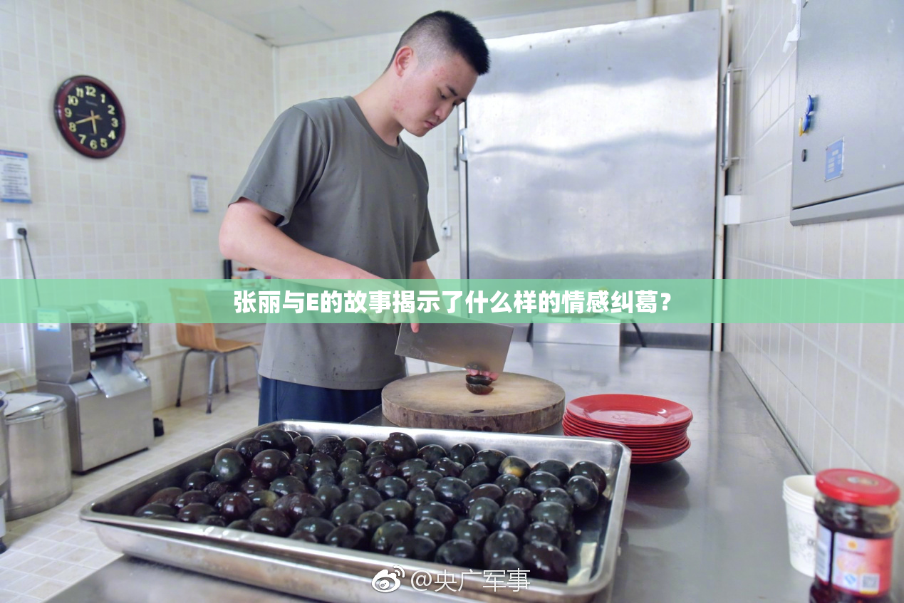 张丽与E的故事揭示了什么样的情感纠葛？