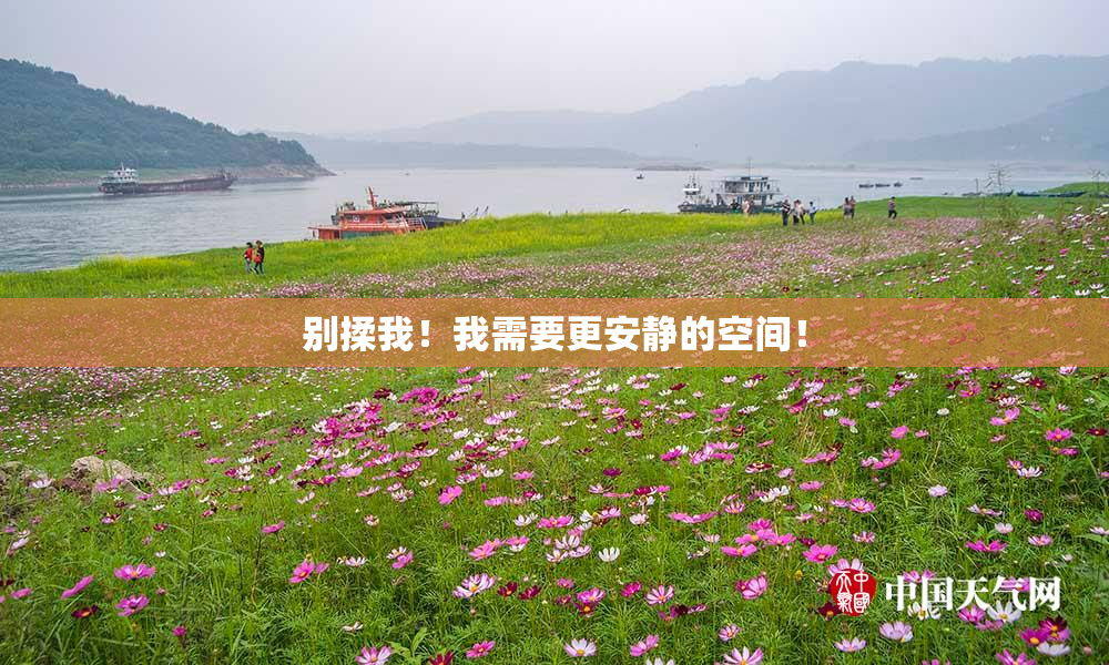别揉我！我需要更安静的空间！