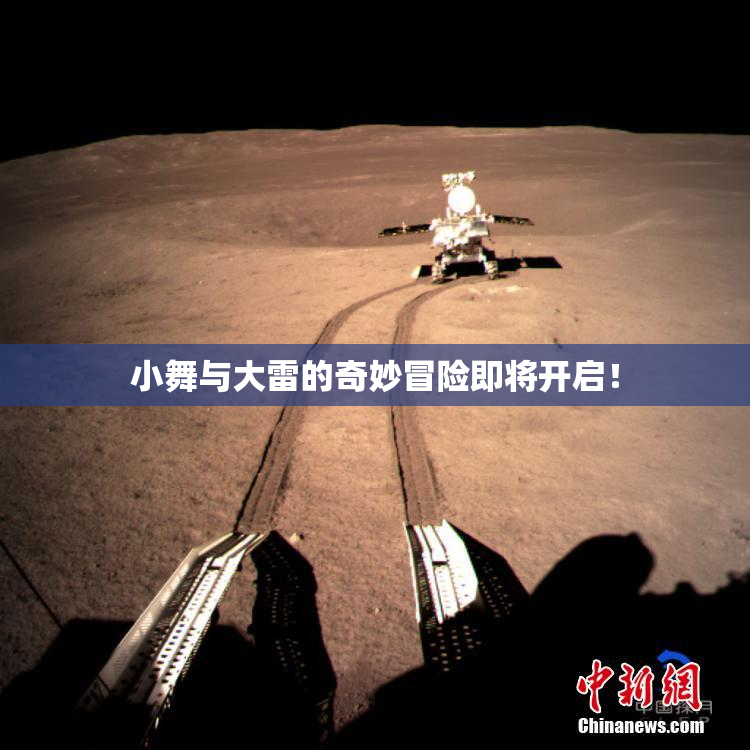 小舞与大雷的奇妙冒险即将开启！