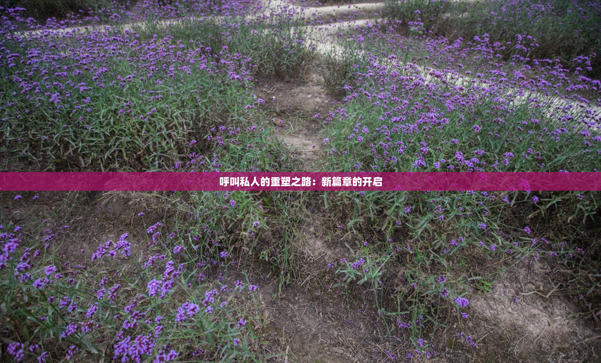 呼叫私人的重塑之路：新篇章的开启