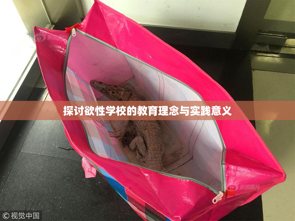 探讨欲性学校的教育理念与实践意义