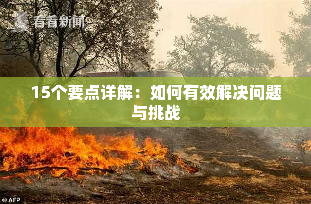 15个要点详解：如何有效解决问题与挑战