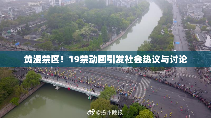 黄漫禁区！19禁动画引发社会热议与讨论