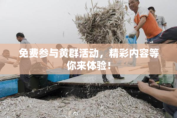 免费参与黄群活动，精彩内容等你来体验！