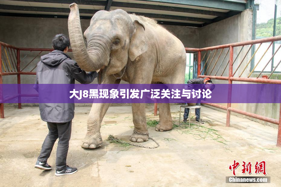 大J8黑现象引发广泛关注与讨论