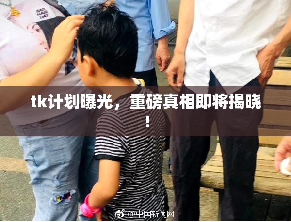 tk计划曝光，重磅真相即将揭晓！