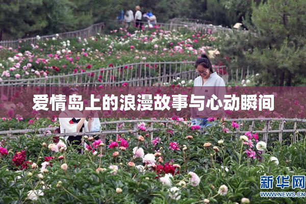 爱情岛上的浪漫故事与心动瞬间