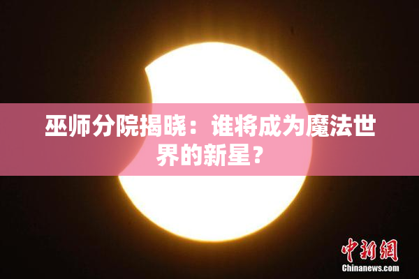 巫师分院揭晓：谁将成为魔法世界的新星？