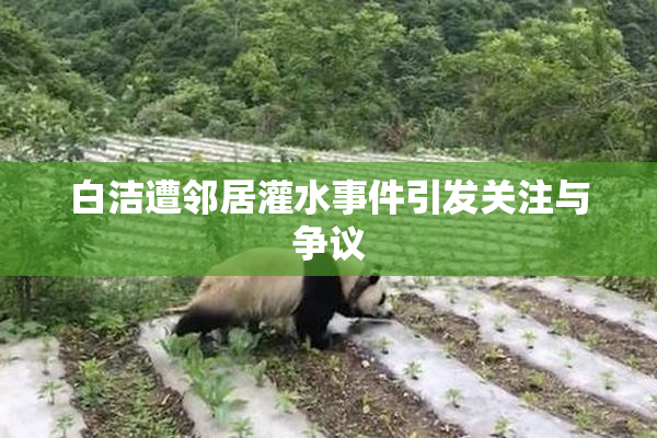 白洁遭邻居灌水事件引发关注与争议