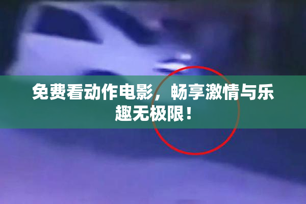 免费看动作电影，畅享激情与乐趣无极限！