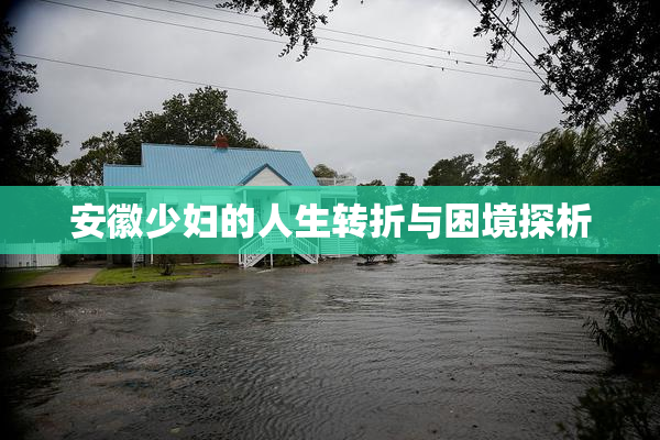 安徽少妇的人生转折与困境探析