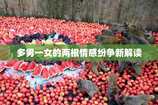 多男一女的两根情感纷争新解读