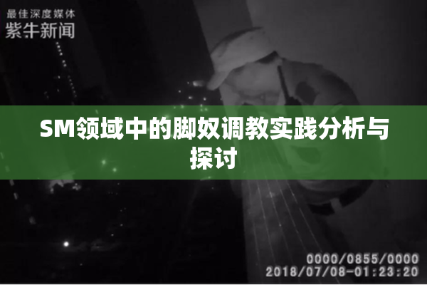 SM领域中的脚奴调教实践分析与探讨