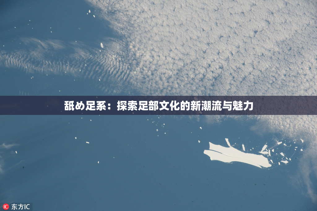 舐め足系：探索足部文化的新潮流与魅力