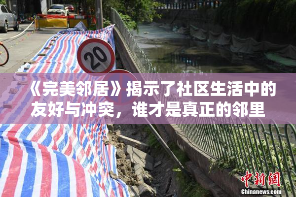《完美邻居》揭示了社区生活中的友好与冲突，谁才是真正的邻里典范？