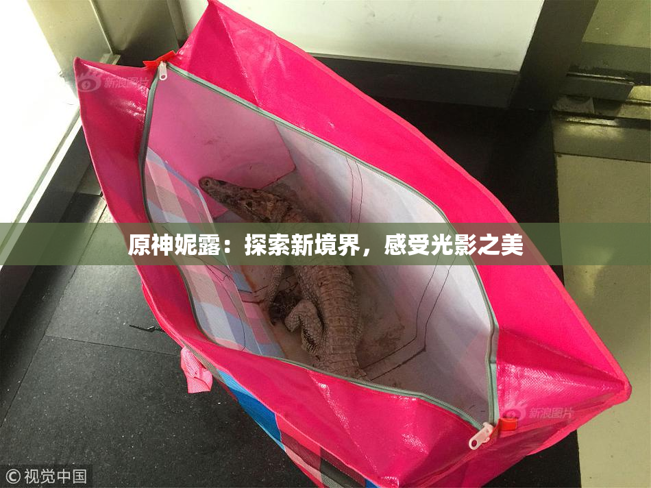 原神妮露：探索新境界，感受光影之美