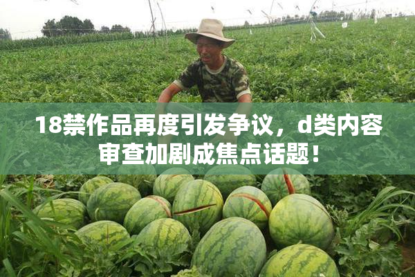 18禁作品再度引发争议，d类内容审查加剧成焦点话题！