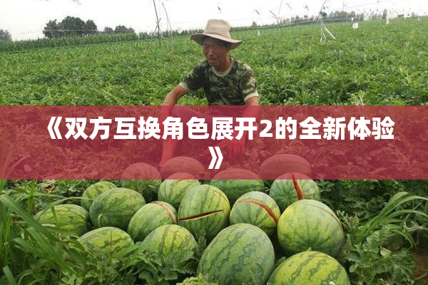 《双方互换角色展开2的全新体验》