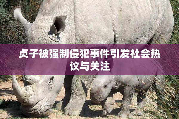 贞子被强制侵犯事件引发社会热议与关注