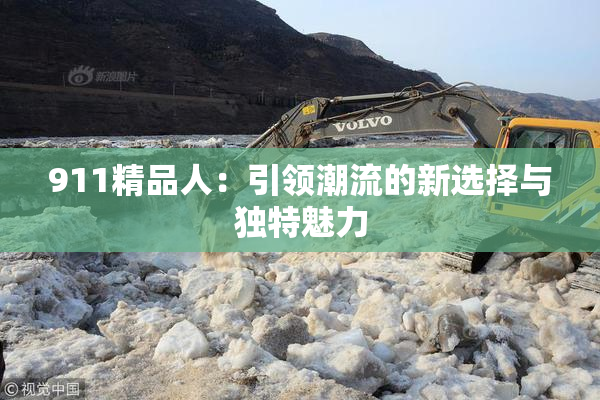 911精品人：引领潮流的新选择与独特魅力