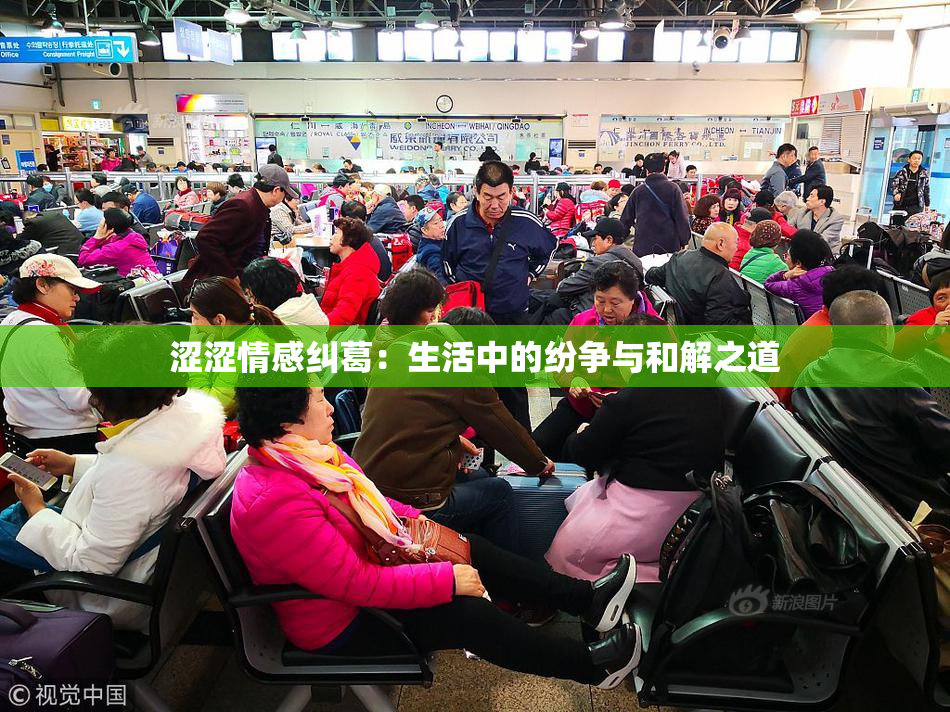 涩涩情感纠葛：生活中的纷争与和解之道