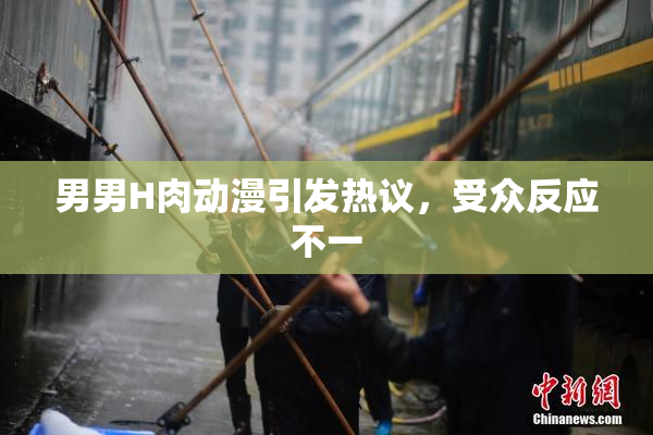 男男H肉动漫引发热议，受众反应不一