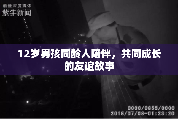 12岁男孩同龄人陪伴，共同成长的友谊故事