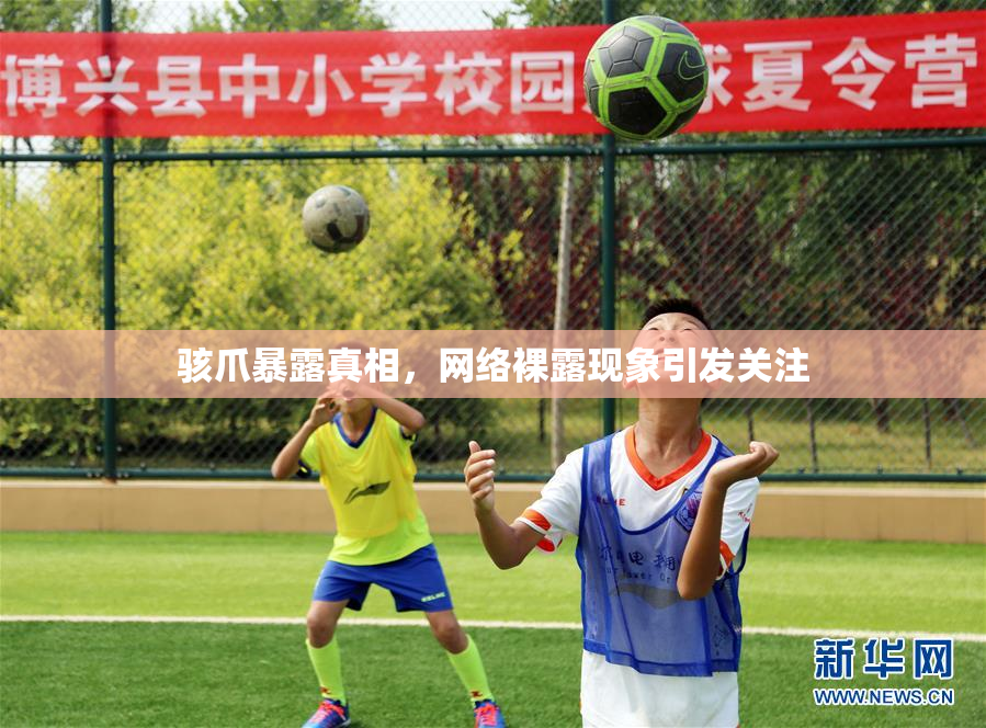 骇爪暴露真相，网络裸露现象引发关注