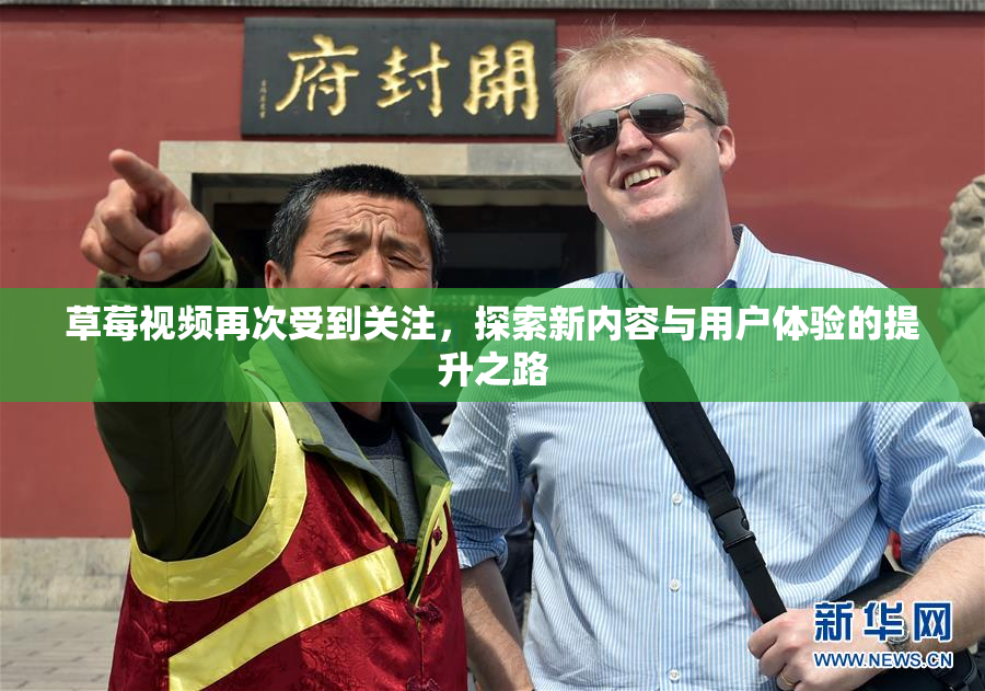 草莓视频再次受到关注，探索新内容与用户体验的提升之路