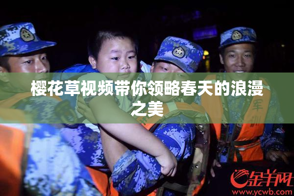 樱花草视频带你领略春天的浪漫之美