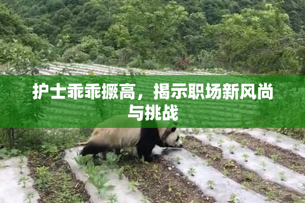 护士乖乖撅高，揭示职场新风尚与挑战