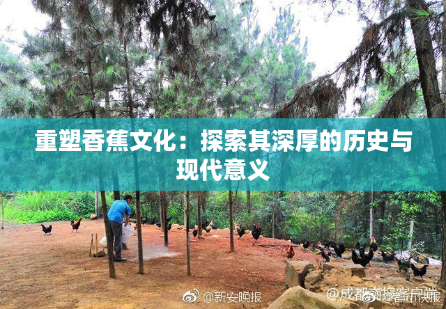 重塑香蕉文化：探索其深厚的历史与现代意义