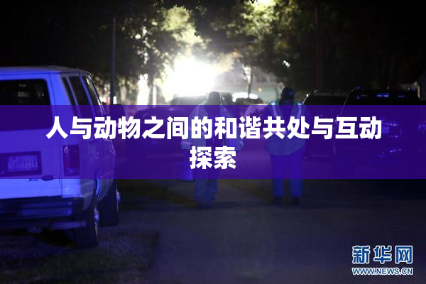 人与动物之间的和谐共处与互动探索