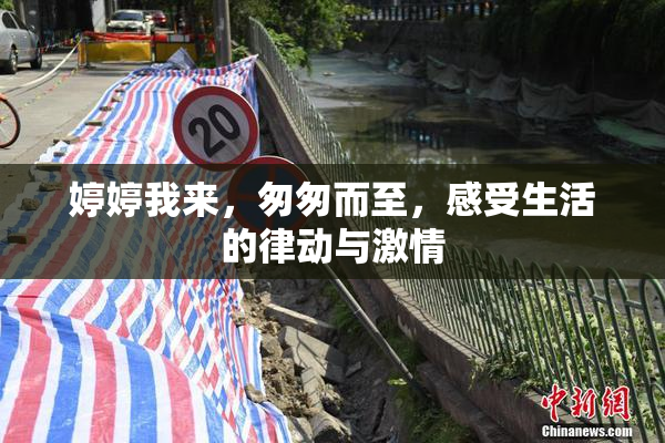 婷婷我来，匆匆而至，感受生活的律动与激情