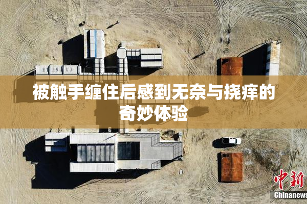被触手缠住后感到无奈与挠痒的奇妙体验
