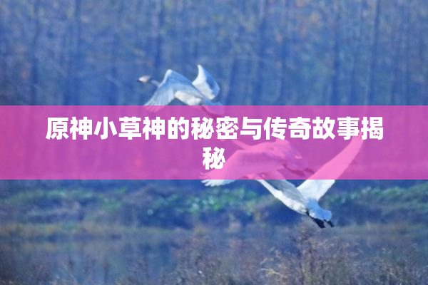 原神小草神的秘密与传奇故事揭秘